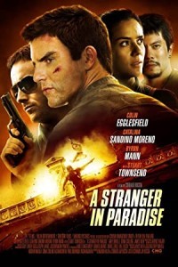 A Stranger In Paradise (2013) Hollywood Hindi Dubbed Poster