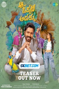 Aa Okkati Adakku (2024) South Indian Hindi Dubbed Poster