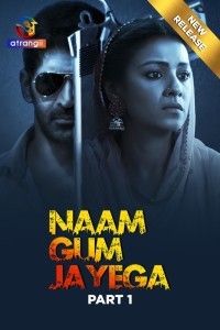 Naam Gum Jayega (2024) Hindi Season 01 Poster