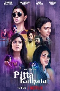 Pitta Kathalu (2021) Hindi Season 01 Poster