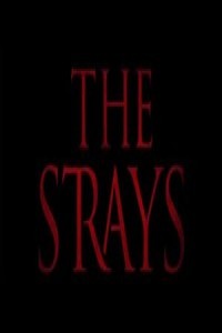 The Strays (2023) Hollywood Hindi Dubbed Poster